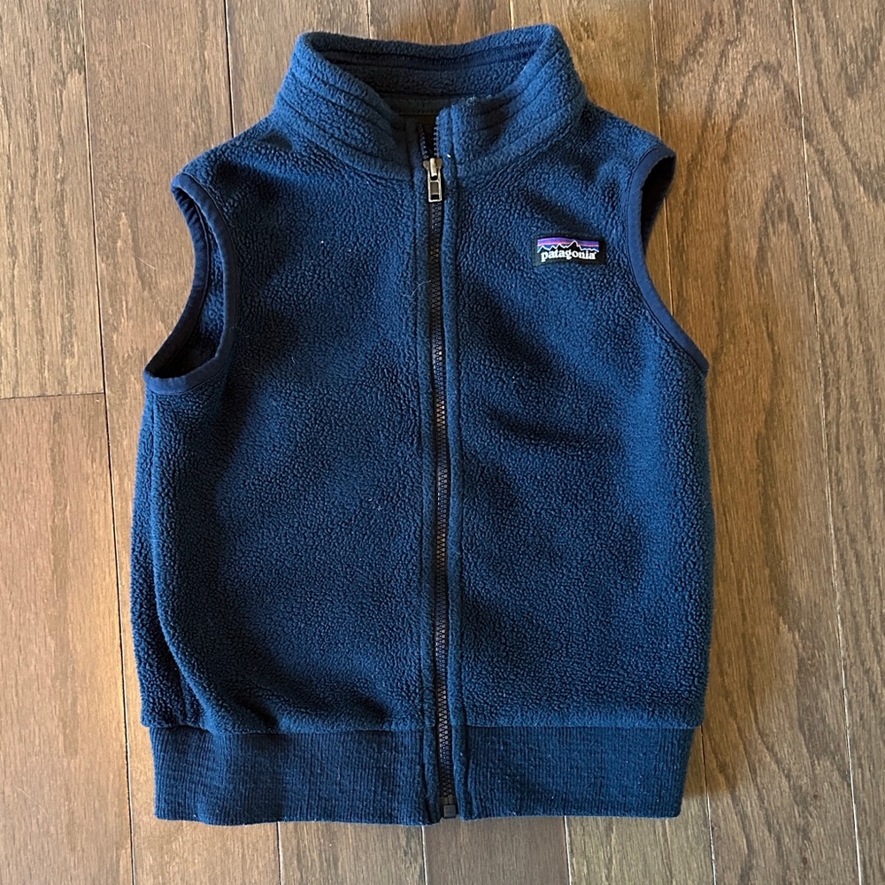 Patagonia Synchilla Fleece Vest